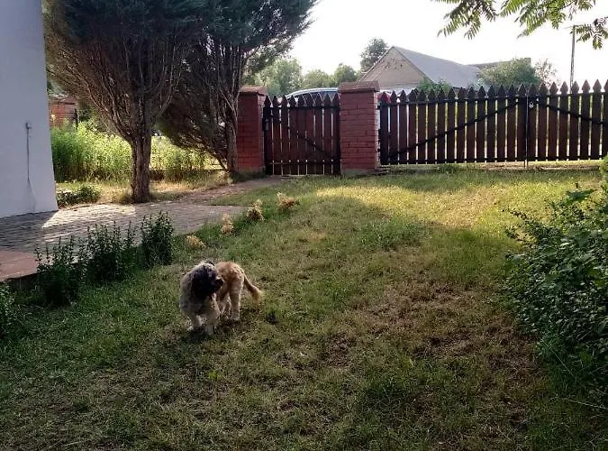 Domek W Spokojnej Podlaskiej Wsi